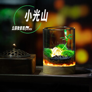 丘辰生命之樹(shù)苔蘚微景觀(guān)生態(tài)瓶diy辦公桌面綠植擺件造景花卉盆栽禮物 小光山（小夜燈底座） 微景觀(guān)