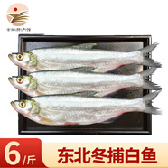 品吉味查干冬捕鯽魚 大鯉魚 白魚年貨送禮 冬捕新鮮活魚速凍 產(chǎn)地直發(fā) 大白魚6-7斤 多條 禮盒裝