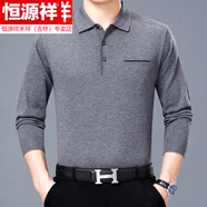 恒源祥中老年爸爸裝春秋長袖t恤男口袋翻領(lǐng)PoloI衫羊毛針織體恤大牌 8808 灰色 165