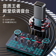金運 V20聲卡直播設備全套麥克風(fēng)錄音套裝話(huà)筒唱歌手機藍牙電腦無(wú)線(xiàn)變聲器電容麥全民K歌抖音快手 入門(mén)級【聲卡全套+振膜麥】-免調試