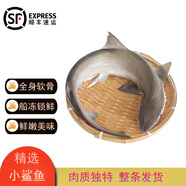 流連灣新鮮小鯊魚(yú) 深海魚(yú)海魚(yú)海鮮水產(chǎn)鯊魚(yú)肉 超大 1.6-1.8斤/條【順豐】 整條速凍保鮮發(fā)貨【順豐】
