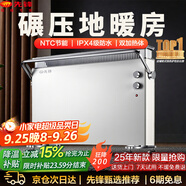 先鋒（SINGFUN）取暖器家用電暖器歐式快熱爐電暖器暖風機浴室電熱爐防水壁爐電暖氣全屋取暖烤火爐HD2013RC-22