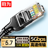 勝為六類網(wǎng)線千兆高速寬帶線CAT6類工程監(jiān)控電腦路由器網(wǎng)絡(luò)家用成品跳線8芯雙絞線黑色0.3米 LC-12003G