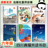 四川六年級(jí)雨季的陽(yáng)光安徽少年兒童出版社小兵雄赳赳青島出版社中國(guó)軌道號(hào)螻蟻之城半條棉被湖南少年兒童出版社三十六只蜂箱追尋少年與海砂粒與星塵 六年級(jí)6本