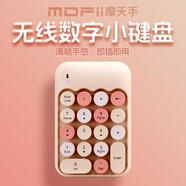 摩天手(Mofii) X910 無線筆記本數(shù)字小鍵盤 USB無線鍵盤 迷你財務會計鍵盤 銀行鍵盤 奶茶色混彩 