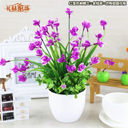 禮赫家飾蝴蝶蘭仿真花假花擺設客廳餐桌花擺花綠植小盆栽室內外擺件裝飾品 塑料紅蓮蝴蝶蘭+仿瓷花瓶