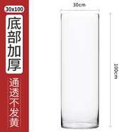 奇敬大號直筒高硼硅玻璃花瓶馬醉木富貴竹專用花瓶客廳酒店花瓶擺件 【口30×高100cm】 玻璃花瓶（不含花）