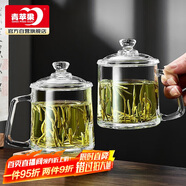 青蘋果泡茶杯帶蓋 無鉛玻璃把手水杯玻璃杯商務(wù)會議家用350ML兩只裝