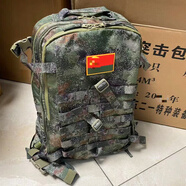 兵克星空突擊背包 戰(zhàn)術(shù)背包 迷彩背包 新式突擊包 戶外作訓(xùn)包野戰(zhàn)作業(yè)包 林地星空突擊背包