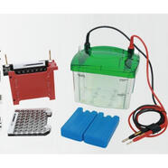 wb轉膜槽bio-rad伯樂(lè )轉印槽wb轉印海綿冰盒轉印電極芯1703930言 轉印電泳槽整套
