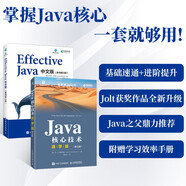 Java編程從入門到進階：Java核心技術（速學版）+Effective Java（第3版）（套裝共2冊）（異步圖書出品）