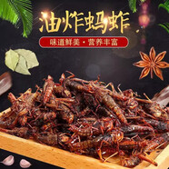 沂珍源新鮮螞蚱油炸即食酥脆蝗蟲食用即食蚱蜢零食香辣蟲子熟食 五香螞蚱100g*1
