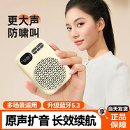 雅蘭仕（EARISE）606新款大音量小蜜蜂防嘯叫老師上課專(zhuān)用插TF卡U盤(pán)錄音麥克風(fēng)超長(cháng)續航藍牙擴音器 膚色