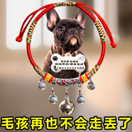 貓咪狗狗項圈鈴鐺純銅刻字身份牌項鏈泰迪小型犬可愛(ài)超響脖圈掛牌 夢(mèng)幻藍銅鈴(聲音大)+金色牌 L-大型