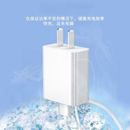 適用擺渡者A9000/A8000/M80充電器線(xiàn)平板電腦數據線(xiàn)學(xué)習機充電線(xiàn) 白色5V充電頭【單頭】不帶線(xiàn)