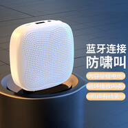 雅蘭仕（EARISE）喇叭小蜜蜂擴(kuò)音器教師專用錄音大功率手持喊話戶外無線揚(yáng)聲器宣傳講師便攜式可充電擺攤叫賣大聲 白色【大音量/防嘯叫/長續(xù)航】