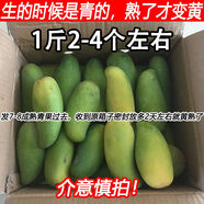 格沃斯海南象牙芒果整箱包郵腰芒大果生當應季新鮮水果青芒果現摘甜無(wú)絲 3斤凈重 精選優(yōu)質(zhì)中大果（1斤2-4個(gè)）
