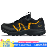 始祖鳥（ARC'TERYX）【定制球鞋】 始祖鳥 Aerios Fl 2 八石制造 金蛇獻(xiàn)瑞 蛇 黑色 40.5