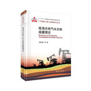 南海天然氣水合物成藏理論