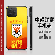 中超聯(lián)賽 上海 廣州 大連手機殼蘋(píng)果13/15華為安卓定制中國隊足球 山東泰山3【聯(lián)系客服備注機型】 經(jīng)典黑玻璃殼 下單備注手機型號
