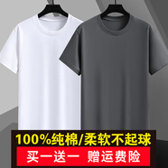 戰(zhàn)浩【2件】純棉短袖t恤男夏季衣服圓領(lǐng)半袖寬松白上衣純色打底衫體恤 白色+鐵灰色 3XL 建議【160-175斤】
