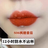 蘭奕小金管不沾杯口紅防水不掉色肉桂奶茶色霧面啞光滋潤素顏鎖色細(xì)管 S06楓糖番茄