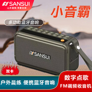 山水（SANSUI） 山水 F30便攜藍牙音箱 便攜式FM調頻音響 晨練音響插卡U盤(pán)老人太極低音炮 橄欖綠+手提硅膠+充電器