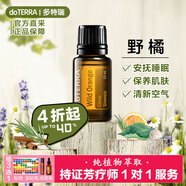 多特瑞（DOTERRA）檸檬精油單方茶樹野橘薰衣草椒樣薄荷乳香生姜按摩油 野橘15ml【清新空氣】