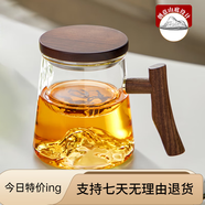 憶壺茶（YIHUTEA）憶壺茶茶杯泡茶杯辦公室茶水分離杯加厚耐高溫綠茶杯 T型把手觀山杯450ml