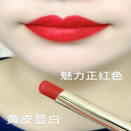 蘭奕（LANYI）李佳琪推薦不掉色不沾杯肉桂奶茶豆沙色口紅啞光素顏顯白持久防水 傳奇正紅色603（口紅＋雨衣）