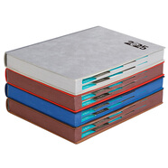 朗捷（longe）365天日程本每日計劃本效率手冊2026年日歷記事本馬年年歷本筆記本本子定制 灰色（2026年單本）