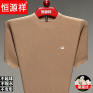 恒源祥2025夏季新款針織短袖T恤男款夏季青年修身桑蠶.絲圓領(lǐng)時(shí)尚體恤 駝色 S 200【建議230-250斤】