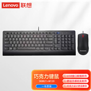 ThinkPad鍵鼠套裝 筆記本臺式電腦 家用 辦公鍵鼠套裝 即插即用 字跡清晰 鍵盤SK8821/2209U隨機發(fā)+M120鼠標