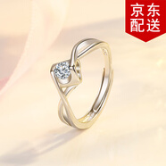 傾欣S925銀戒指女款仿鉆戒心形開口指環(huán)結(jié)婚活口戒子情人節(jié)送女友妻子 永恒開口戒指