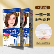塔麗雅（Dariya）日本SALON de PRO染發(fā)劑膏黛莉亞Dariya男女士蓋白發(fā)染發(fā)膏遮白發(fā) 4號(hào)亮棕色*2