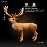 仿真動(dòng)物模型套裝玩具動(dòng)物園野生老虎獅子大象長(cháng)頸鹿鱷魚(yú)兒童 馴鹿