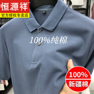 恒源祥2025重磅純棉polo衫男短袖t恤翻領(lǐng)春夏季純色商務(wù)休閑衫高級感 灰蘭(短袖) XL (適合135-150斤)