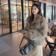 雅格羅伊貂皮大衣女整貂2024年新款芬蘭狐貍毛皮草外套女整皮腹毛坎毛小立 摩卡色 均碼 M