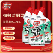 WHITE KING潔白王 潔廁劑 廁所清潔劑 99.99%除菌抑菌 廁所除臭神器 700ml 桉樹香型 700ml 3瓶 【除菌99.99%】