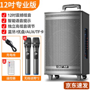 先科（SAST）廣場(chǎng)舞藍(lán)牙戶外拉桿音響大功率木質(zhì)音箱大音量帶無線話筒家用k歌 12吋音箱+雙話筒