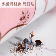 地毯地墊臥室ins少女生耐臟床邊毯鋪墊坐墊腳墊子地上兒童爬爬墊 粉色玫瑰柔軟質(zhì)量好 50*160點(diǎn)1CM適合窄長(cháng)床邊