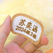 彩色星愿 刺繡定制姓名貼幼兒園名字貼可縫防水兒童衣服校服護士服名字牌 【帶縫孔】5個咖（名字+班級）