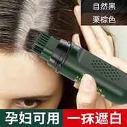 芙麗芳絲（Freeplus）一次性染發(fā)筆棒純植物補色遮白發(fā)神器口紅式孕婦可用美發(fā)筆 自然黑色2盒