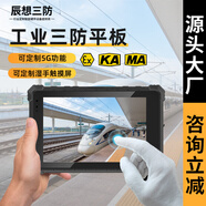 辰想8英寸三防平板電腦工業(yè)padwindows/linux智能巡檢移動(dòng)終端奧維地圖GPS北斗導(dǎo)航RTK定位可插卡通話 W80N(8+128G）可拆WIFI藍(lán)牙攝像頭