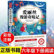 愛麗絲漫游奇境記 小學(xué)生六年級下冊閱讀四五年級課外閱讀書兒童文學(xué)讀物經(jīng)典名著