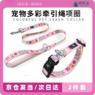 嗶嗶寵【京倉(cāng)發(fā)當(dāng)/次日達(dá)】狗狗胸背帶牽引繩狗繩鏈項(xiàng)圈脖圈衣服 個(gè)性夏日繽紛狗繩+項(xiàng)圈 S【5-18斤 胸圍42-52CM】