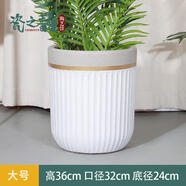 倘沭灣北歐風(fēng)簡(jiǎn)約高款陶瓷大花盆天堂鳥(niǎo)散尾葵專(zhuān)用家用種綠植樹(shù)落地 圓柱金邊白色低腰大號