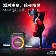 維爾晶T9MINI戶外藍牙音箱 單音響