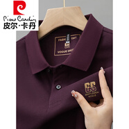 皮爾卡丹（pierre cardin）純棉刺繡長(zhǎng)袖t恤男春秋季新款男裝翻領(lǐng)體恤上衣打底衫輕奢POLO.衫 A8828紫色 M 【建議95-110斤】