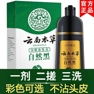 仙蒂蕾拉一染黑不沾頭皮洗發(fā)水自己在家黑發(fā)染發(fā)劑膏自然黑黑色植物 黑色 400mL